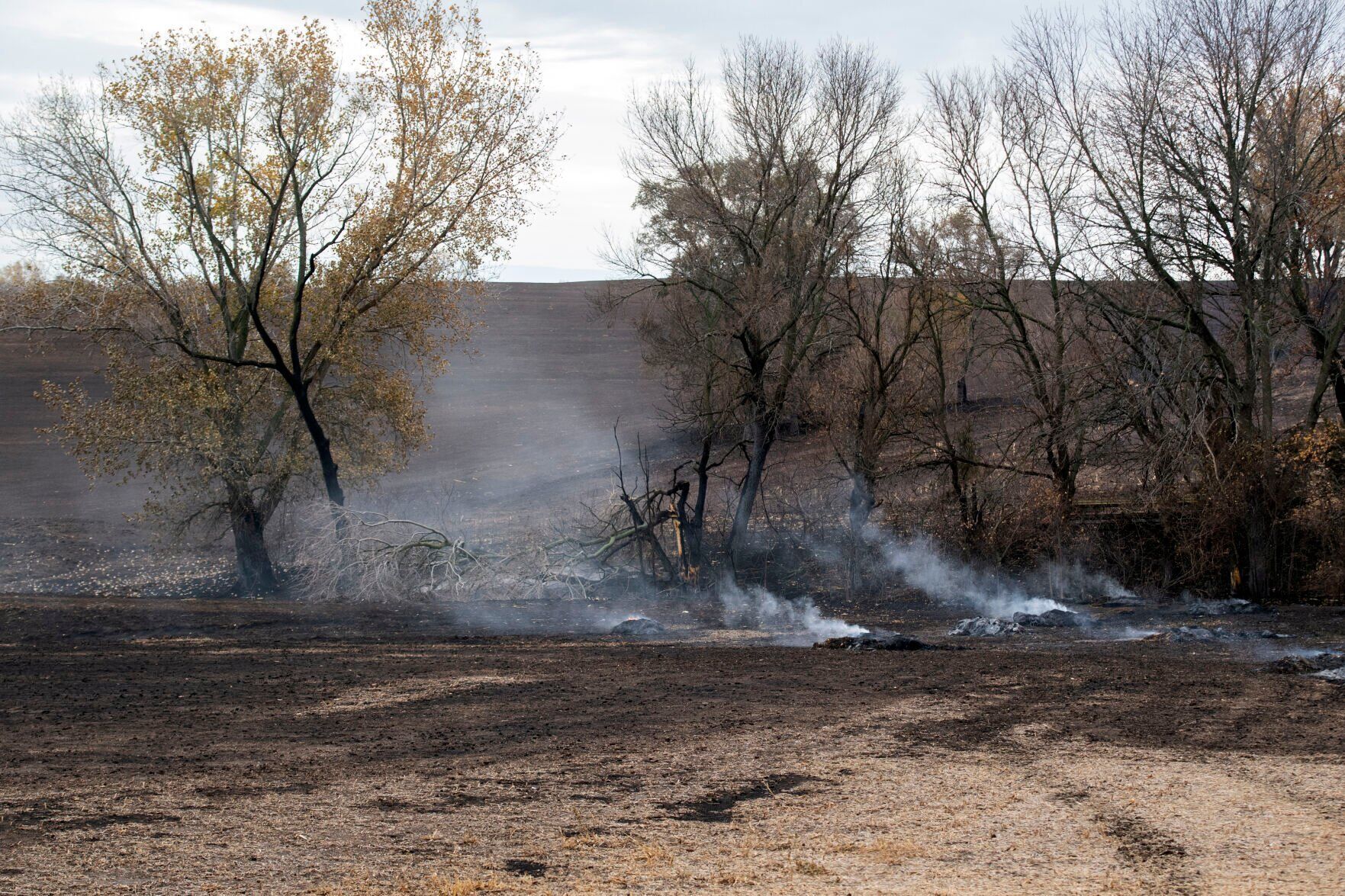 Grass fire, 10.24